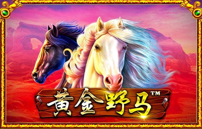 49图库地址